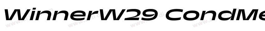 WinnerW29 CondMedium字体转换